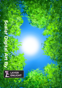 Contact-Us - Layer Enlight